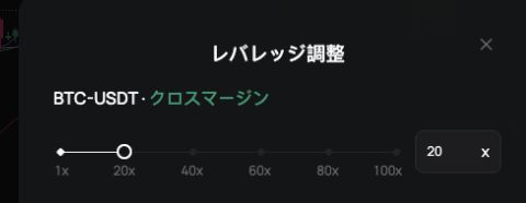 BTCUSDTのレバレッジ調整画面。1xから100xの目盛りと現在の20x設定を表示